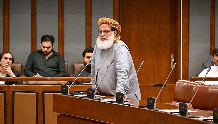 سینیٹر مولانا عطاالرحمان : فوٹو فیس بک / سینیٹ