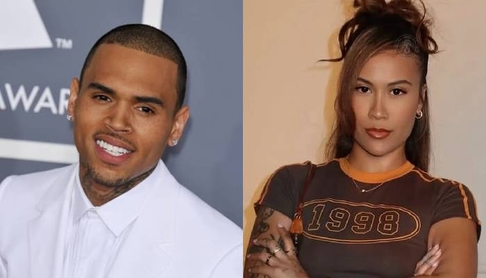 Chris Brown’s parenting called into question after baby mama’s court claims