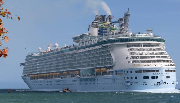 Cruise ship overboard passenger rescued alive after 20 hours floating in sea