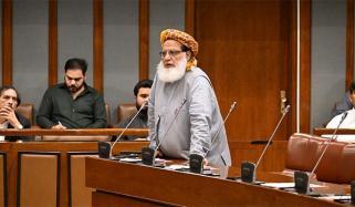 پیپلز پارٹی سے توقع نہیں تھی کہ وہ ایسے اقدامات کو سپورٹ کرے، مولانا عطا الرحمان
