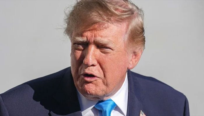امریکی صدر ڈونلڈ ٹرمپ — فائل فوٹو