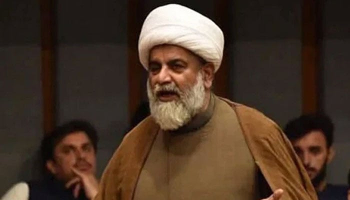 سینیٹ میں قائدِ حزبِ اختلاف علامہ راجہ ناصر عباس—فائل فوٹو