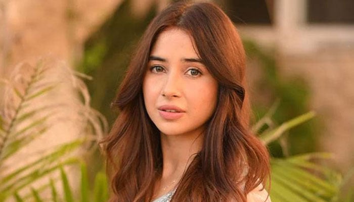 اداکارہ سبینہ فاروق—فائل فوٹو