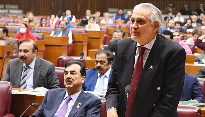 نائب وزیراعظم اسحاق ڈار : فوٹو فیس بک / قومی اسمبلی