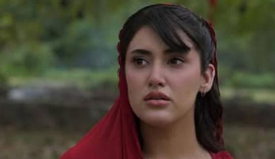 سحر ہاشمی کا فنکاروں کو معاوضے کی ادائیگی میں تاخیر پر ناراضگی کا اظہار سحر ہاشمی کا فنکاروں کو معاوضے کی ادائیگی میں تاخیر پر ناراضگی کا اظہار