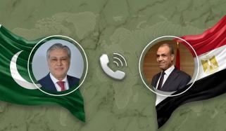 اسحاق ڈار و مصری وزیرِ خارجہ کا تازہ علاقائی صورتِحال پر تبادلۂ خیال