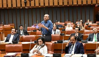 وزیر اعلیٰ کے پی کسی ایک آپریشن میں بھی فوج کے ساتھ نہیں گئے، وزیر داخلہ محسن نقوی 