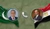 اسحاق ڈار و مصری وزیرِ خارجہ کا تازہ علاقائی صورتِحال پر تبادلۂ خیال