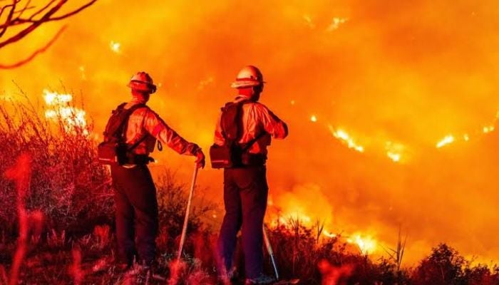 Wind-driven Bryson Fire reaches 200 acres forcing Malibu evacuations