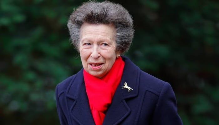 Princess Anne marks centenary of historic guards memorial with poignant tribute