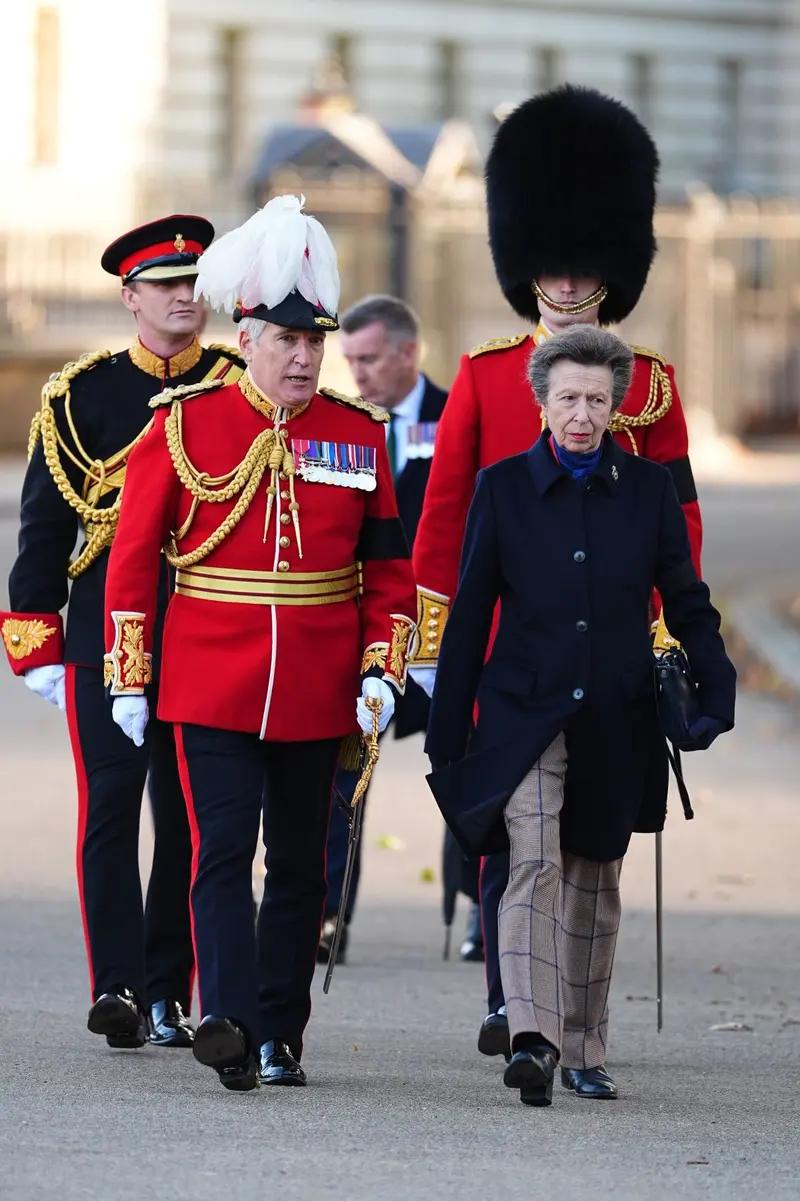 Princess Anne marks centenary of historic guards memorial with poignant tribute