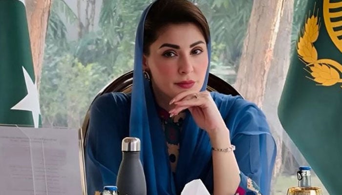 وزیراعلیٰ پنجاب مریم نواز---فائل فوٹو