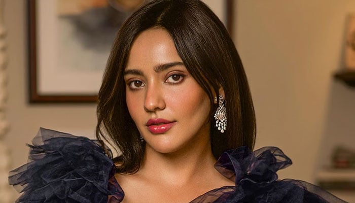 نیہا شرما کی بغیر اجازت اے آئی ویڈیوز، تصاویر بنانے والوں کو سخت وارننگ