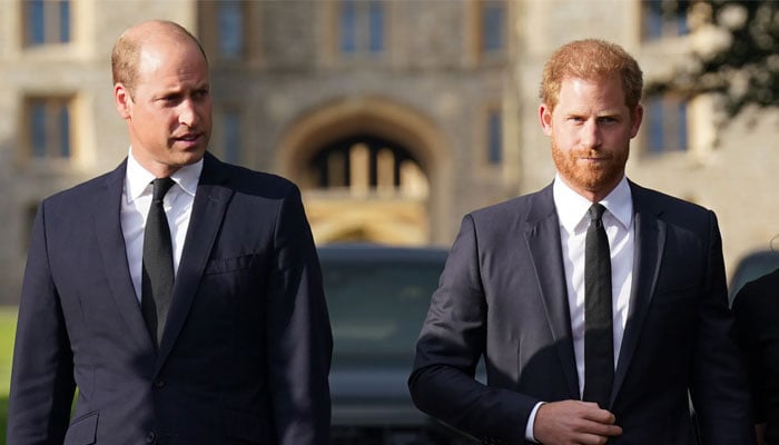 Prince William receives stark warning regarding Prince Harry: it’s very plausible...