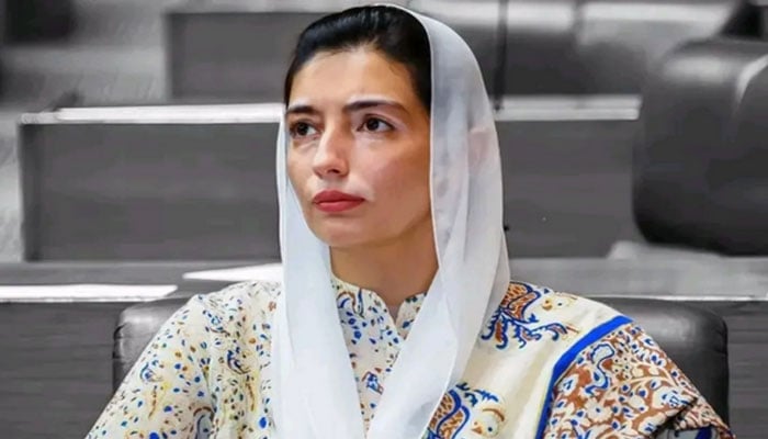 ہماری ذمے داری ہے نوجوانوں کو تعلیم، مواقع اور اعتماد فراہم کریں: آصفہ بھٹو