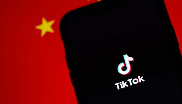 TikTok suspends ‘Musk’ documentary account over political content