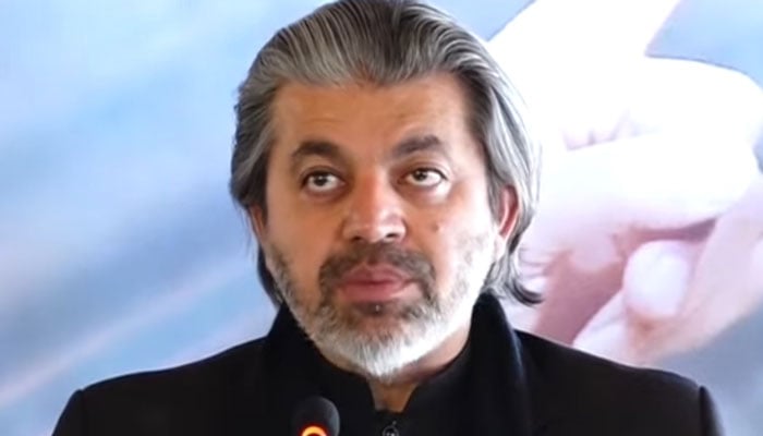 مذاکرات نہ کرنے سے بانی چیئرمین کا نقصان ہو رہا ہے، علی محمد خان