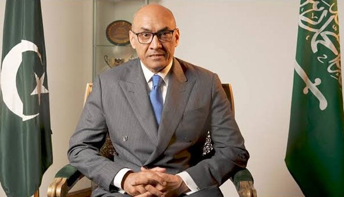 پاکستانی سفیر احمد فاروق(فائل فوٹو)۔