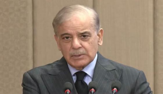 دانش اسکول معیاری تعلیم فراہم کرنے کی بھرپور صلاحیت رکھتے ہیں: وزیرِ اعظم شہباز شریف