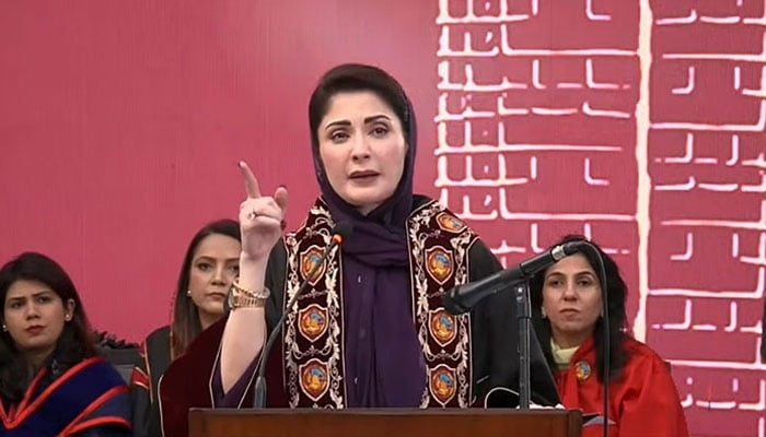 فوٹو: اسکرین گریب