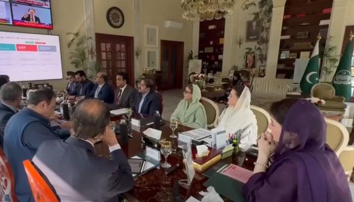 فوٹو: اسکرین گریب