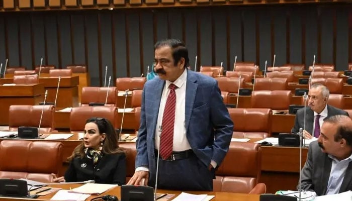 مولانا عبدالواسع نے خیبر پختوانخوا اور بلوچستان کا موازنہ کیا، رانا ثنا اللّٰہ - فوٹو: فائل