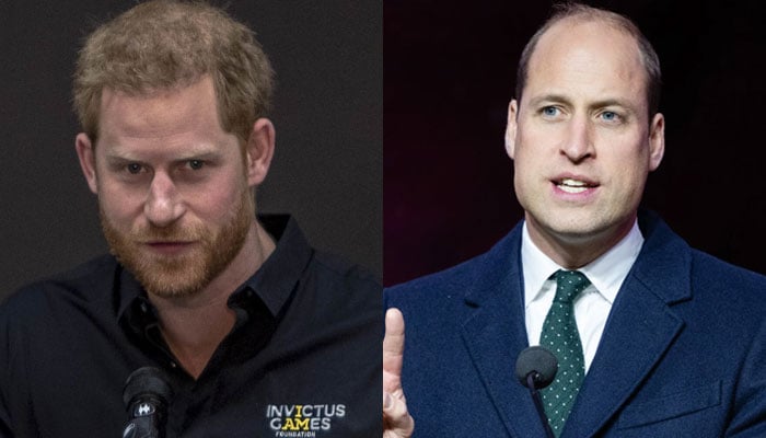 Prince Harry ready to hit back after William’s stern warning: ‘won’t be pushed around’