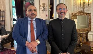 ہالینڈ میں متعین پاکستانی سفیر سید حیدر شاہ اقوام متحدہ میں مستقل مندوب مقرر