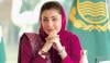 مریم نواز کی سعودی شہریوں کو پنجاب کے سیاحتی مراکز کے دورے کی دعوت