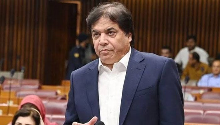 وفاقی وزیر ریلوے حنیف عباسی(فائل فوٹو)۔