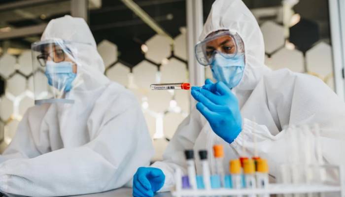 Shamonda virus: Symptoms, risks after first human case reported in France