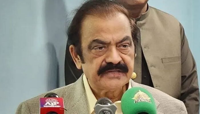 ملاقاتوں میں انا اور ضد کا معاملہ نہیں ہے، رانا ثناءاللّٰہ - فوٹو: فائل