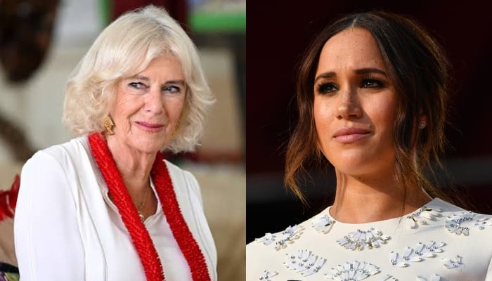 Queen Camilla attends key Wiltshire summit as buzz around Meghan Markle rivalry grows
