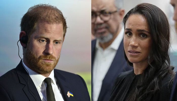Prince Harry, Meghan Markle’s new trap to make Royal Family look ‘vindictive’ exposed