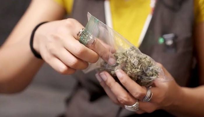 Detroit woman’s devastating health battle linked to underage Cannabis use