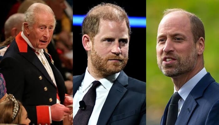 King Charles pulls royal family members into Prince William, Harry feud